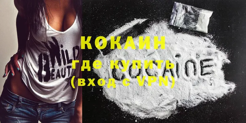 Cocaine FishScale  купить закладку  это телеграм  Завитинск 